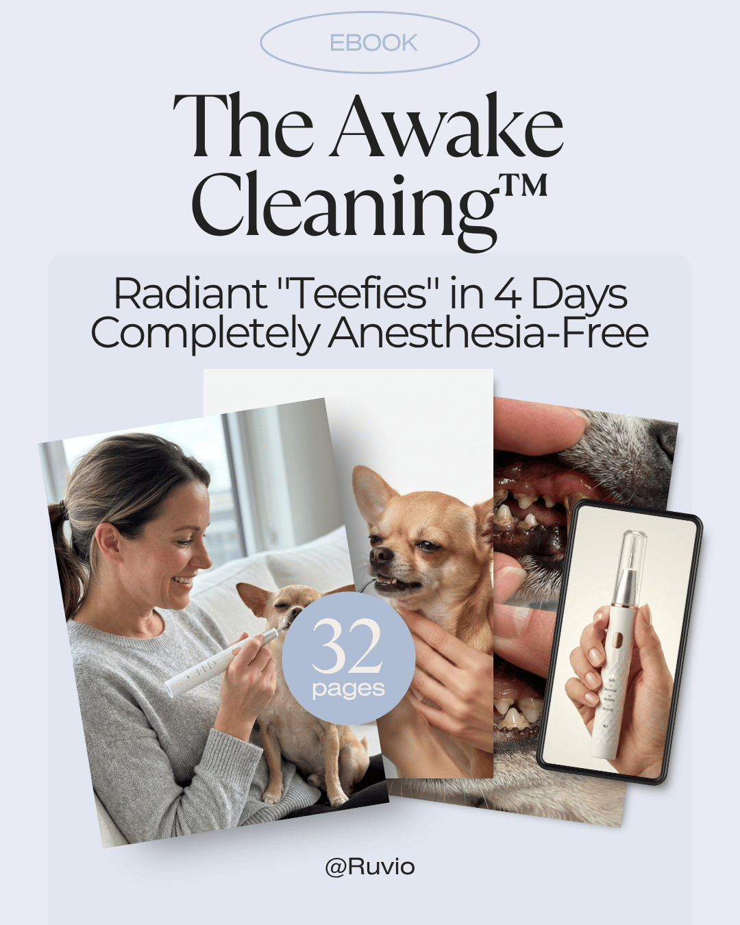 The Awake Cleaning™ Ebook
