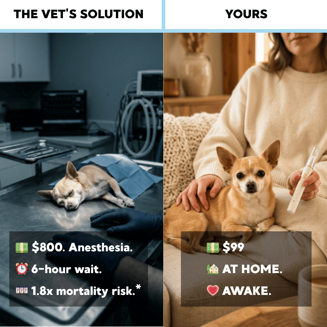 VetSonic Pro™ — Ultrasonic Dental Cleaner made for Chihuahuas