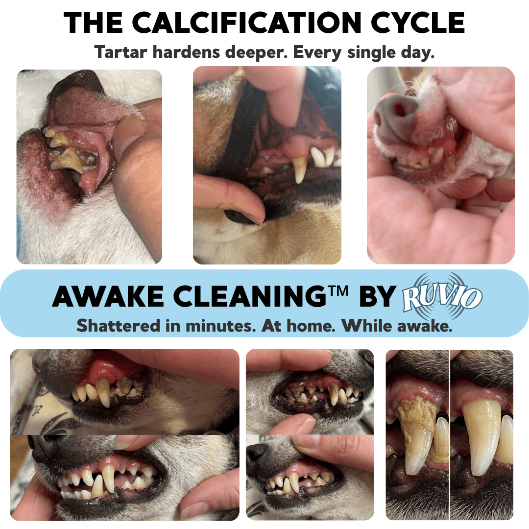 VetSonic Pro™ — Ultrasonic Dental Cleaner made for Chihuahuas