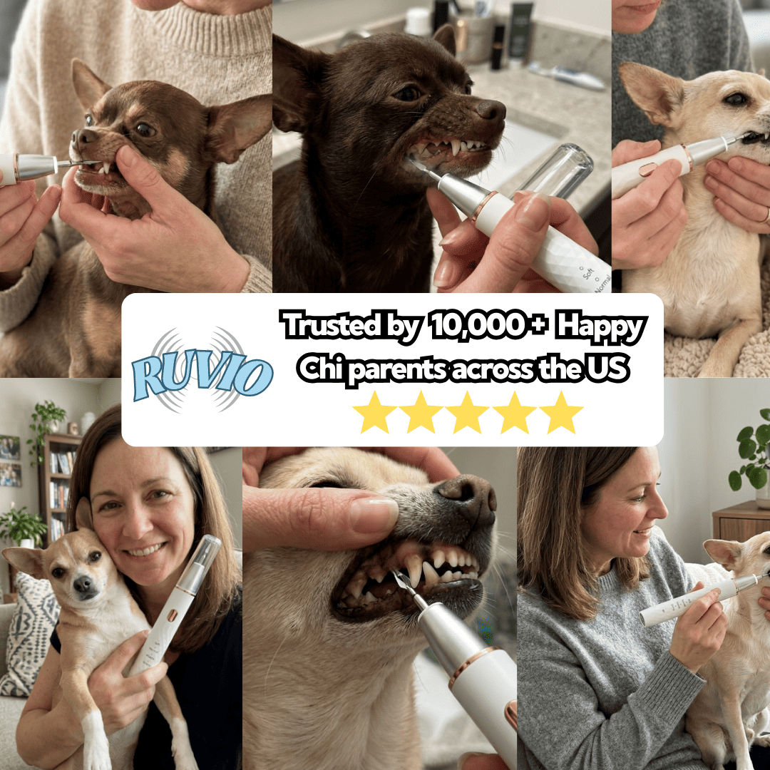 VetSonic Pro™ — Ultrasonic Dental Cleaner made for Chihuahuas